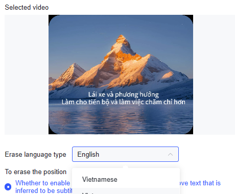 select the position and language of subtitle in video