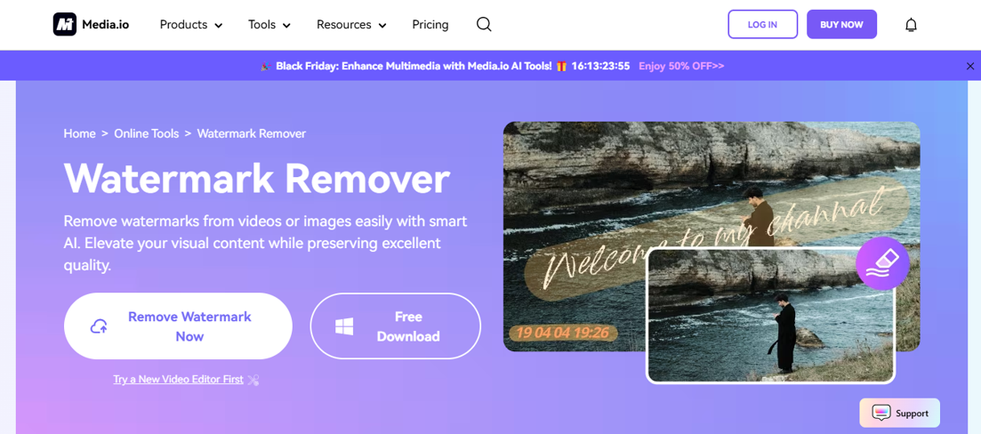 Screenshot 2024-11-20 103533 – VidAU.ai Media.io Watermark Remover for Video